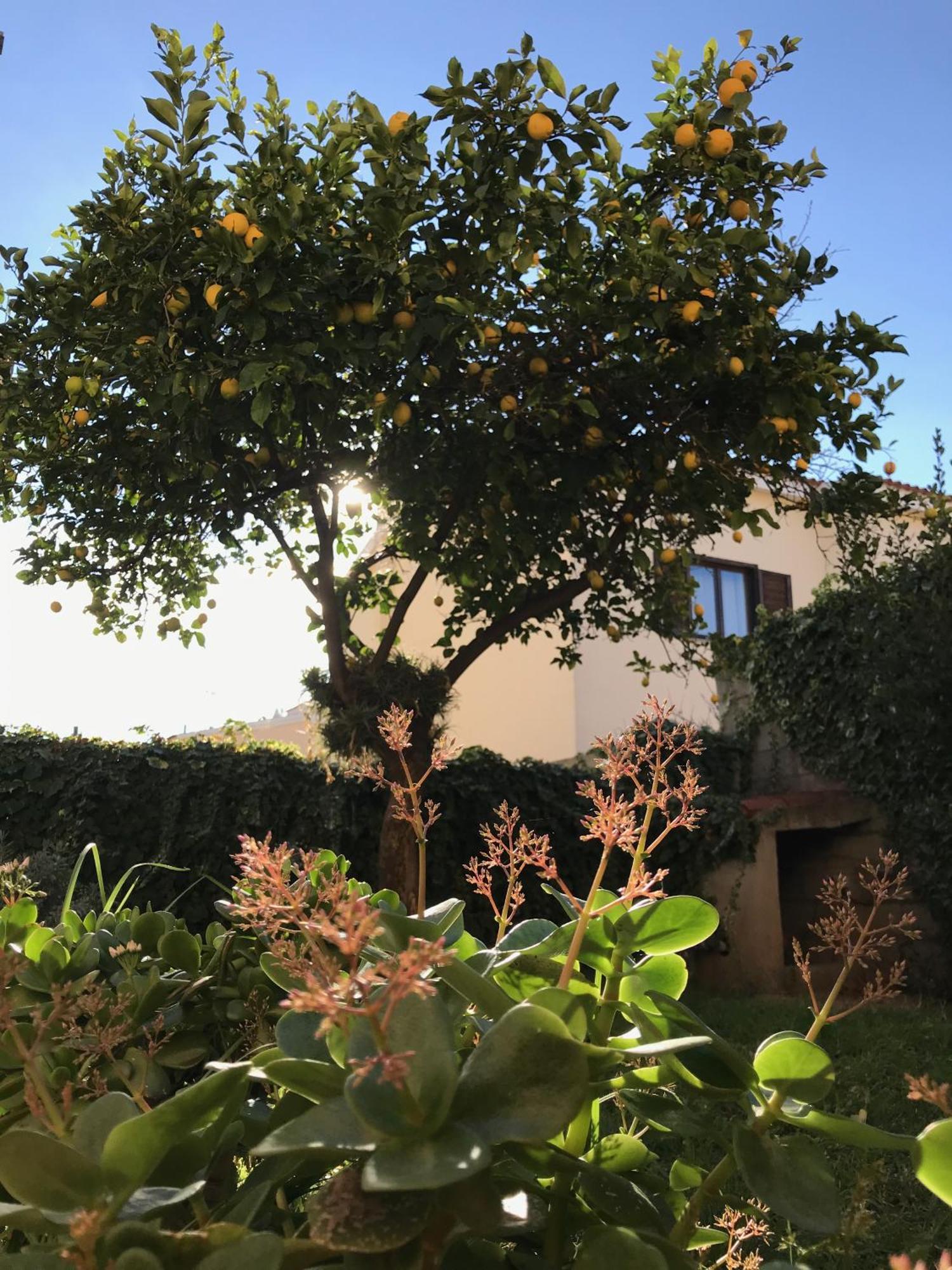 Cityloft Olbia Eksteriør billede